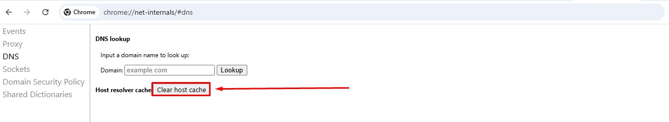 chrome://net-internals/#dns