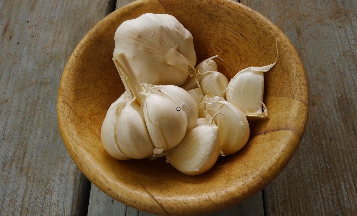 obat tradisional hipertensi
